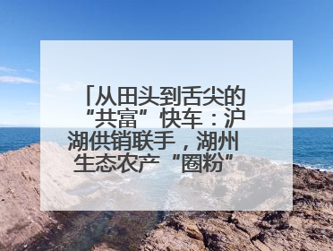 从田头到舌尖的“共富”快车：沪湖供销联手，湖州生态农产“圈粉”大上海