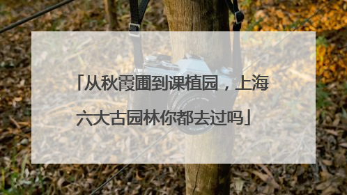从秋霞圃到课植园，上海六大古园林你都去过吗