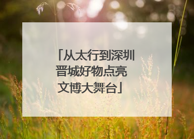 从太行到深圳 晋城好物点亮文博大舞台