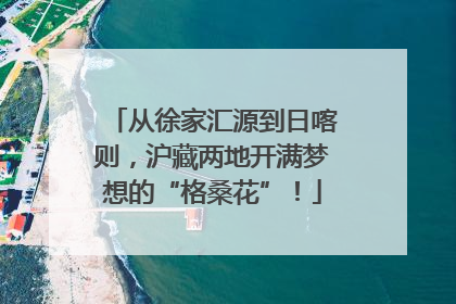 从徐家汇源到日喀则，沪藏两地开满梦想的“格桑花”！
