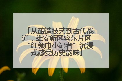 从酿造技艺到古代战道，雄安新区容东片区“红领巾小记者”沉浸式感受历史韵味