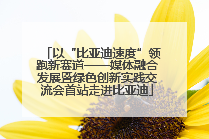 以“比亚迪速度”领跑新赛道——媒体融合发展暨绿色创新实践交流会首站走进比亚迪