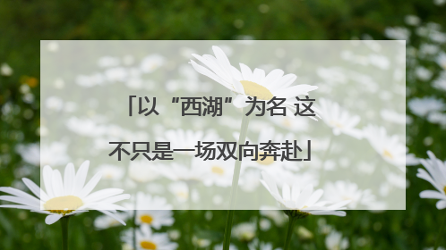 以“西湖”为名 这不只是一场双向奔赴