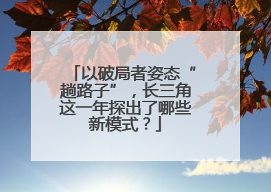 以破局者姿态“趟路子”，长三角这一年探出了哪些新模式？