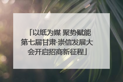 以纸为媒 聚势赋能 第七届甘肃·崇信发展大会开启招商新征程