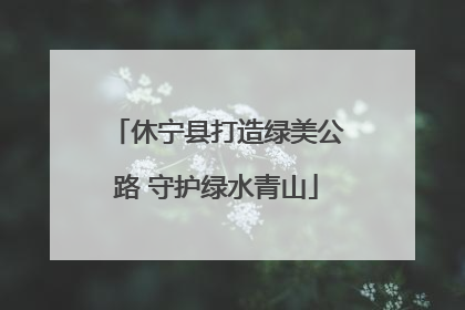 休宁县打造绿美公路 守护绿水青山