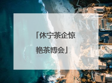 休宁茶企惊艳茶博会