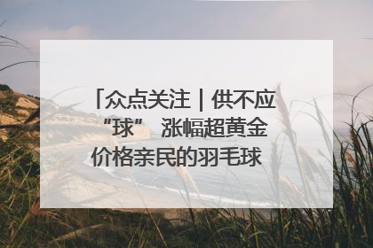 众点关注｜供不应“球” 涨幅超黄金 价格亲民的羽毛球为何身价飞涨？
