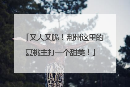 又大又脆！荆州这里的夏桃主打一个甜美！