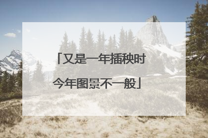 又是一年插秧时 今年图景不一般