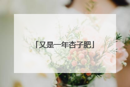又是一年杏子肥