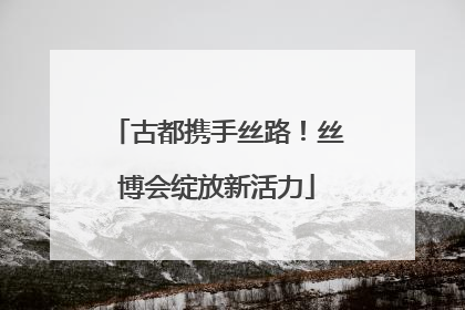 古都携手丝路！丝博会绽放新活力