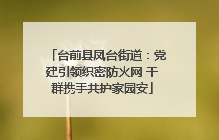 台前县凤台街道：党建引领织密防火网 干群携手共护家园安