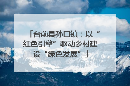台前县孙口镇：以“红色引擎”驱动乡村建设“绿色发展”