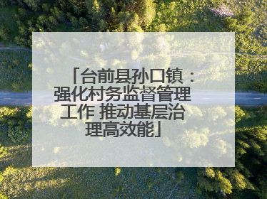 台前县孙口镇：强化村务监督管理工作 推动基层治理高效能