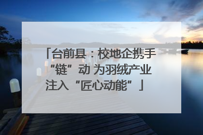 台前县：校地企携手“链”动 为羽绒产业注入“匠心动能”
