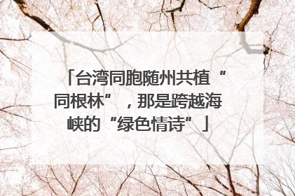 台湾同胞随州共植“同根林”，那是跨越海峡的“绿色情诗”