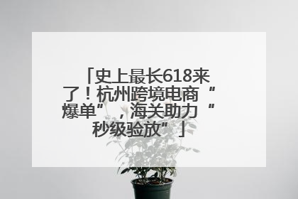 史上最长618来了！杭州跨境电商“爆单”，海关助力“秒级验放”