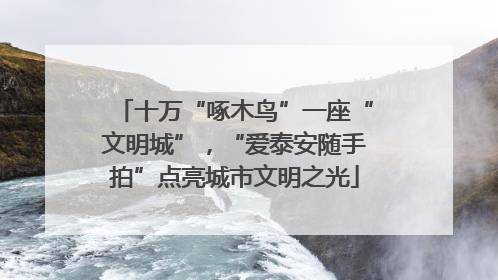 十万“啄木鸟”一座“文明城”，“爱泰安随手拍”点亮城市文明之光