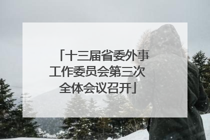 十三届省委外事工作委员会第三次全体会议召开