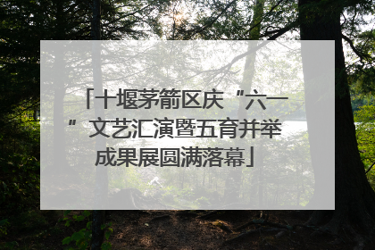 十堰茅箭区庆“六一”文艺汇演暨五育并举成果展圆满落幕