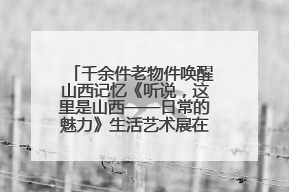 千余件老物件唤醒山西记忆《听说，这里是山西——日常的魅力》生活艺术展在忻州市图书馆开展