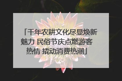 千年农耕文化尽显焕新魅力 民俗节庆点燃游客热情 撬动消费热潮