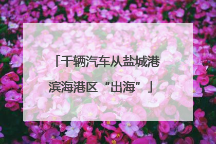 千辆汽车从盐城港滨海港区“出海”