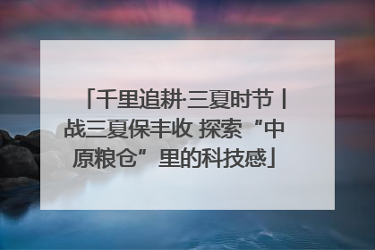 千里追耕·三夏时节丨战三夏保丰收 探索“中原粮仓”里的科技感