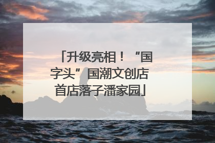 升级亮相！“国字头”国潮文创店首店落子潘家园