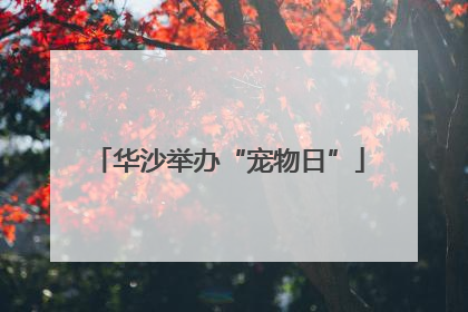 华沙举办“宠物日”
