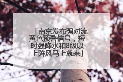 南京发布强对流黄色预警信号，短时强降水和8级以上阵风马上就来