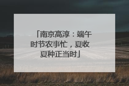 南京高淳：端午时节农事忙，夏收夏种正当时