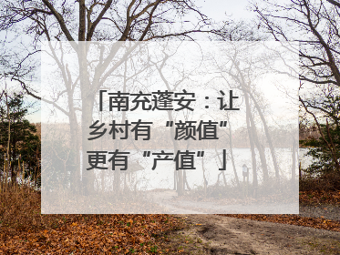 南充蓬安：让乡村有“颜值”更有“产值”