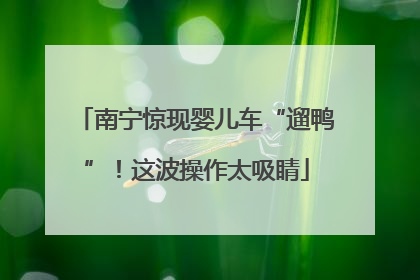 南宁惊现婴儿车“遛鸭”！这波操作太吸睛