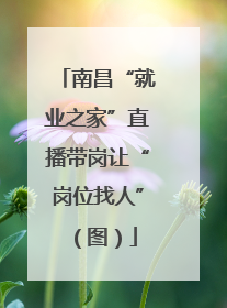 南昌“就业之家”直播带岗让“岗位找人”（图）