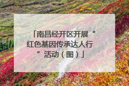 南昌经开区开展“红色基因传承达人行”活动（图）