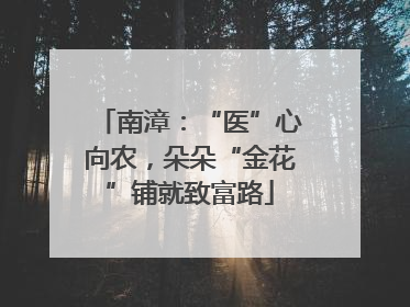 南漳：“医”心向农，朵朵“金花”铺就致富路
