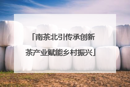 南茶北引传承创新 茶产业赋能乡村振兴