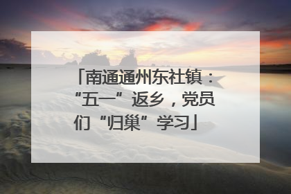 南通通州东社镇：“五一”返乡，党员们“归巢”学习