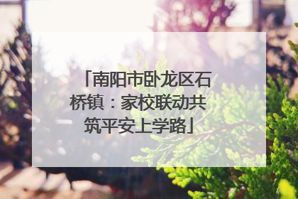 南阳市卧龙区石桥镇：家校联动共筑平安上学路