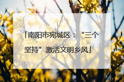 南阳市宛城区：“三个坚持”激活文明乡风