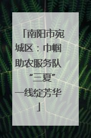 南阳市宛城区：巾帼助农服务队 “三夏”一线绽芳华