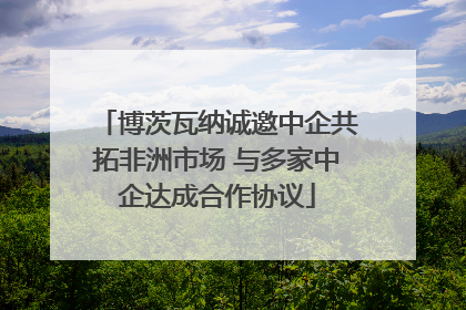 博茨瓦纳诚邀中企共拓非洲市场 与多家中企达成合作协议