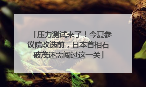 压力测试来了！今夏参议院改选前，日本首相石破茂还需闯过这一关
