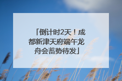 倒计时2天！成都新津天府端午龙舟会蓄势待发