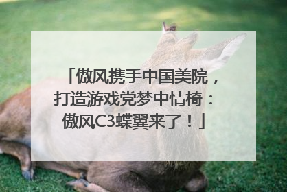 傲风携手中国美院，打造游戏党梦中情椅：傲风C3蝶翼来了！