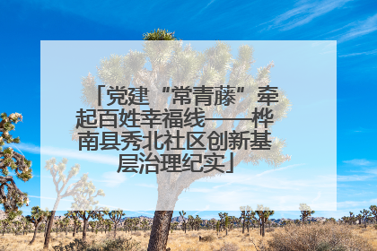 党建“常青藤”牵起百姓幸福线——桦南县秀北社区创新基层治理纪实