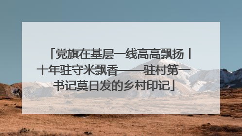 党旗在基层一线高高飘扬丨十年驻守米飘香——驻村第一书记莫日发的乡村印记
