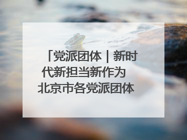 党派团体｜新时代新担当新作为 北京市各党派团体这么干！
